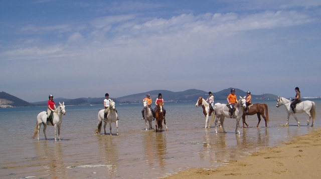 Por la playa a caballo